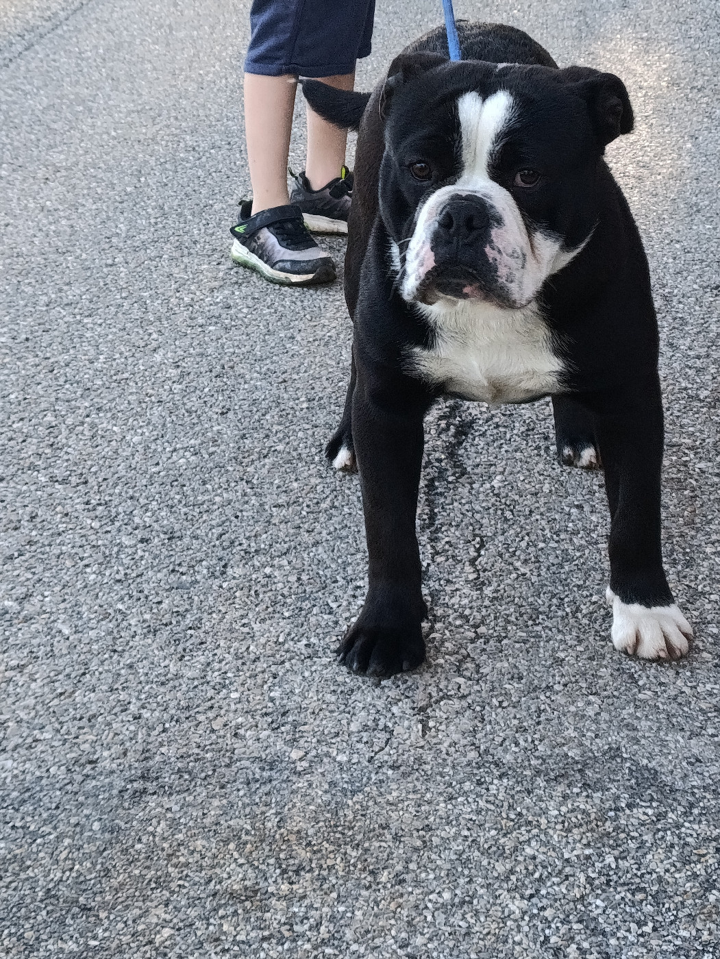 Archimède du Mont de l'Aigle