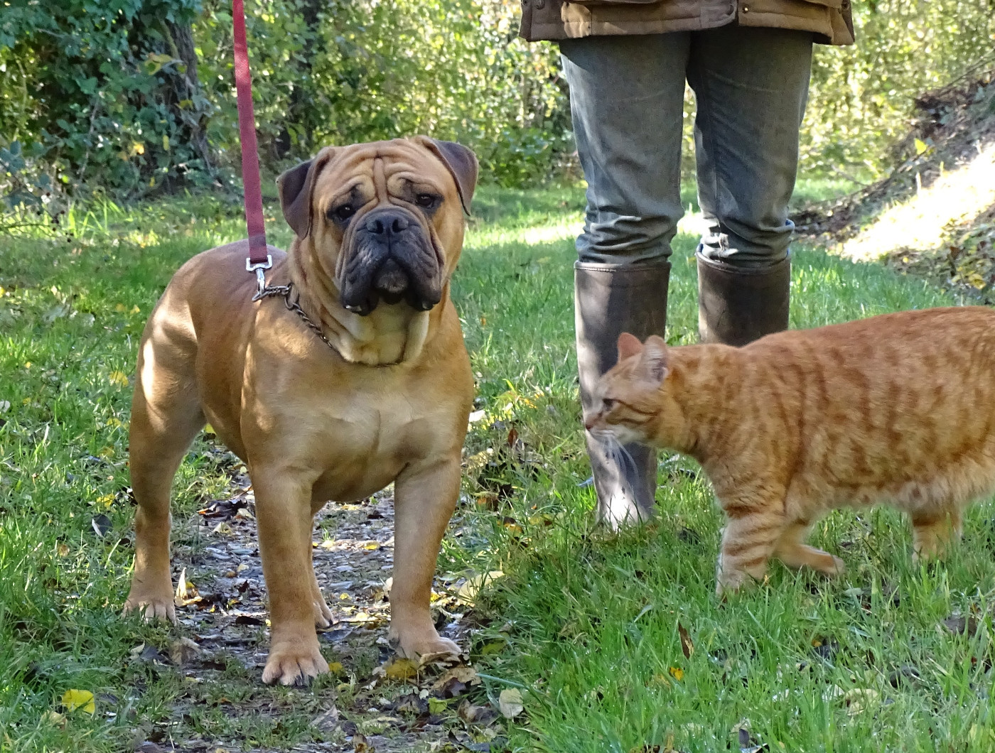 Des bébés pour début avril