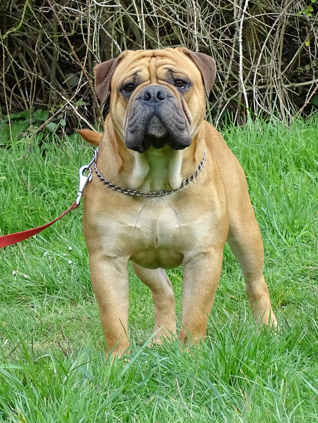 Des bébés pour début avril